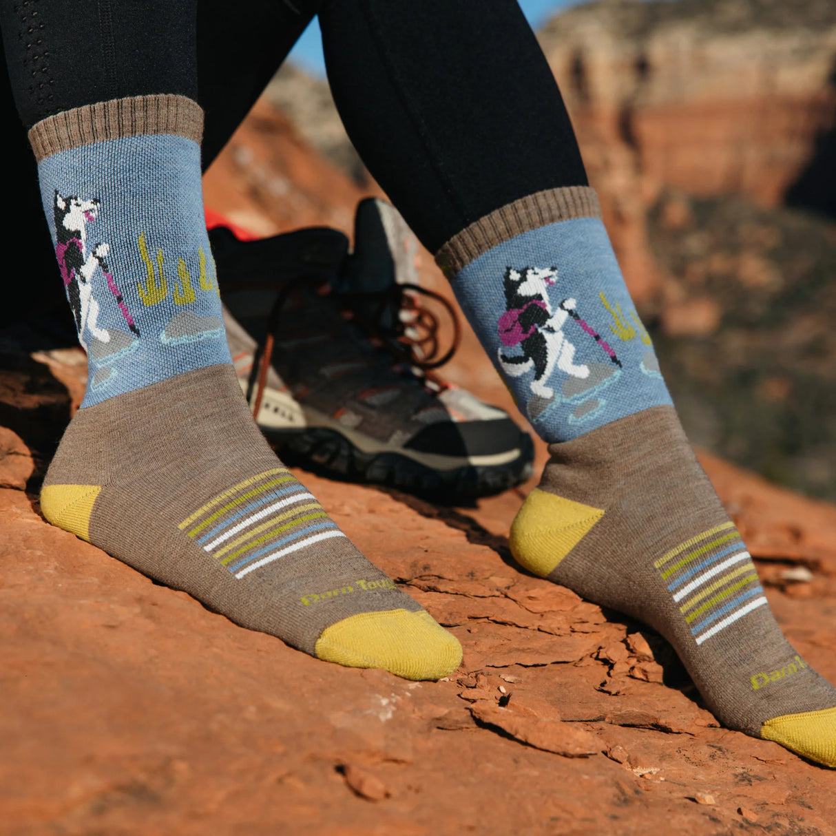 Darn Tough Women's Bear Town, Critter Club & Hiker Micro Crew Hiking Socks