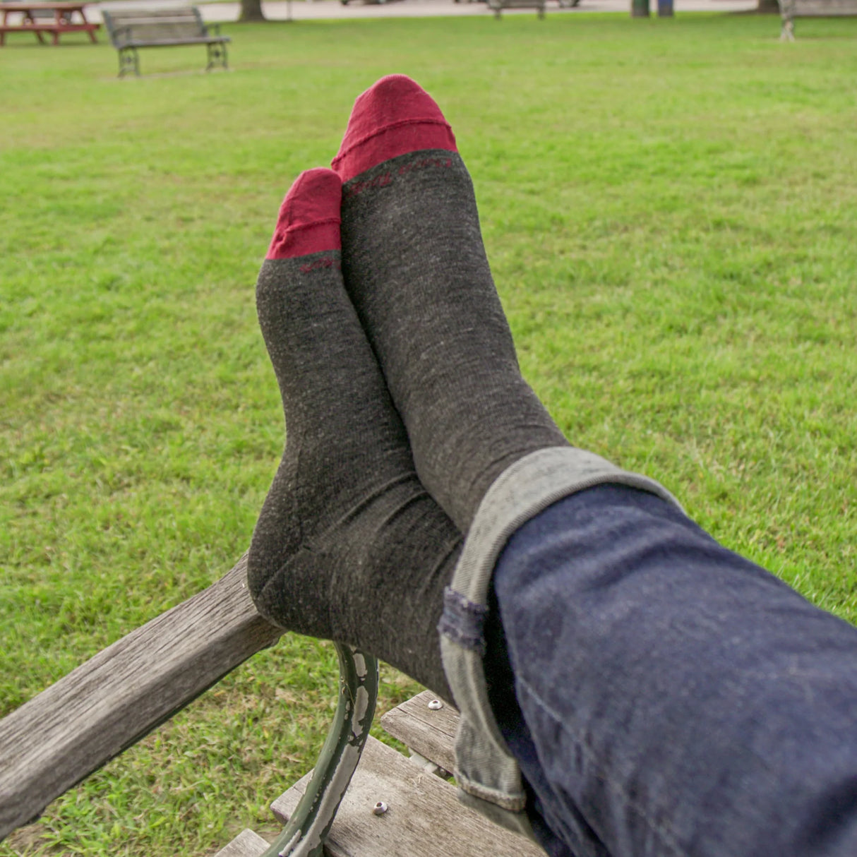Darn Tough Men's Solid Crew Lightweight Lifestyle Sock