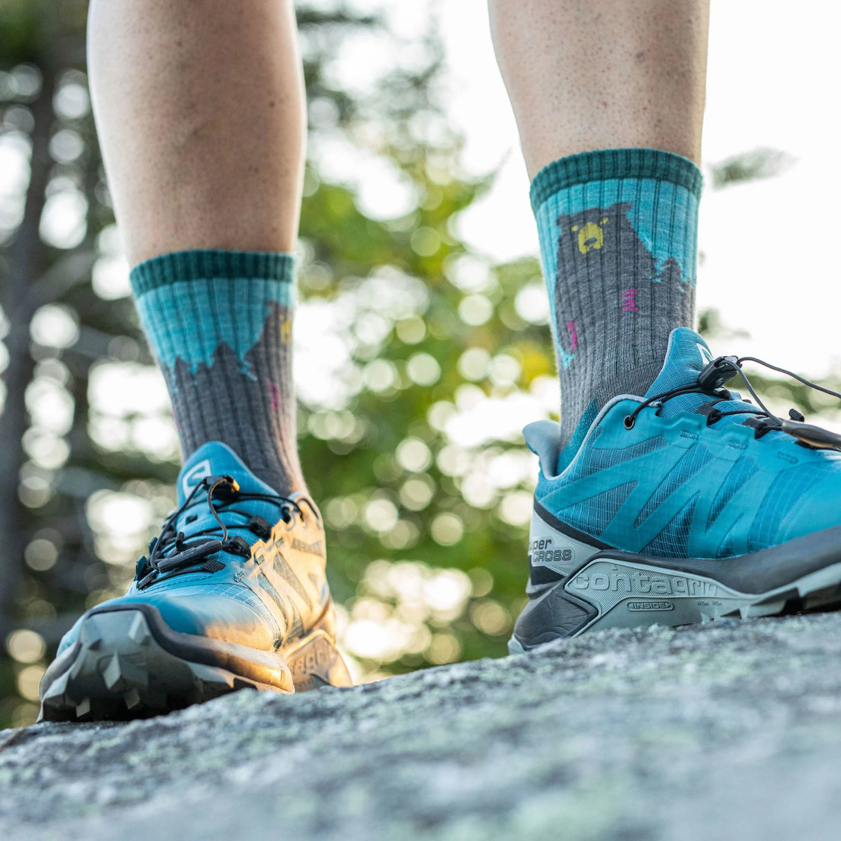 Darn Tough Women's Bear Town, Critter Club & Hiker Micro Crew Hiking Socks