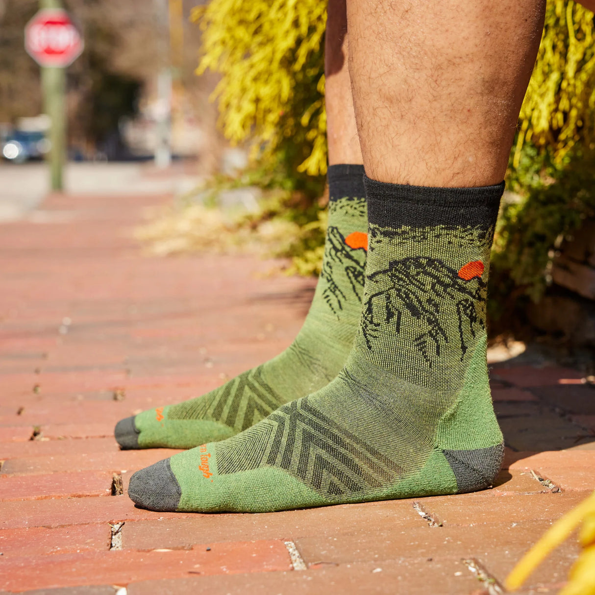 Darn Tough Men's Vert & Stride Micro Crew Ultra-Lightweight Running Socks